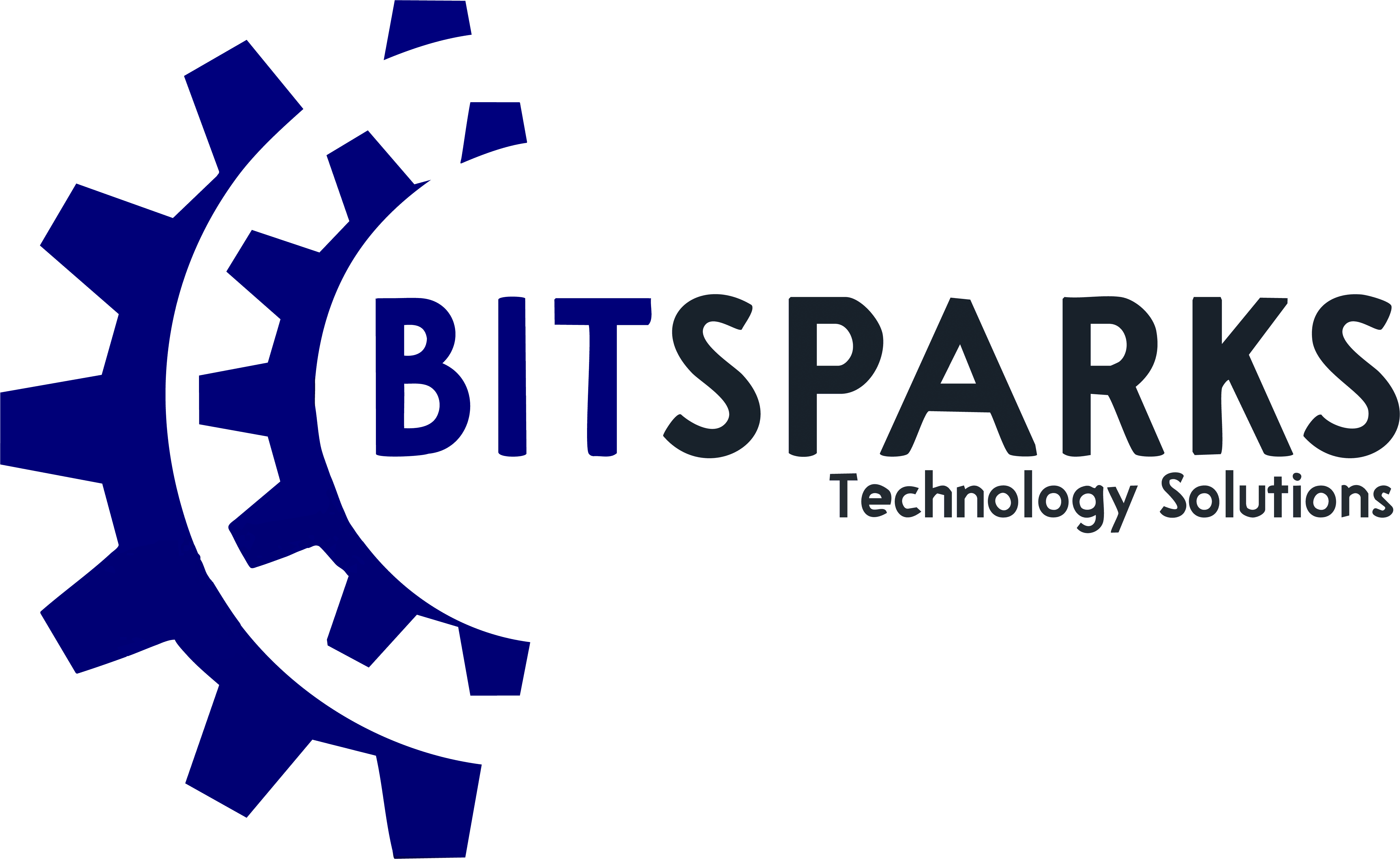 Tailored Software Solutions aligned with Your Business Goal